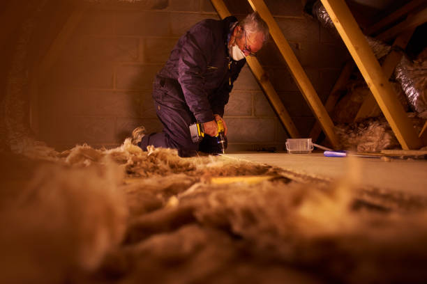 Best Insulation Installation Services in Willmar, MN